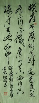 赵卫峰先生书法003-録苏轼题西林壁 三尺条幅